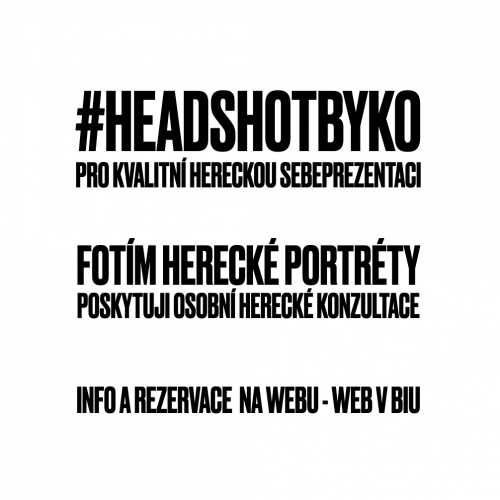 Potřebujete headshot? Konzultaci? Představovací video?